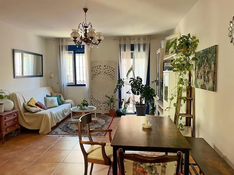 Casa Trini Apartment Malaga Spain